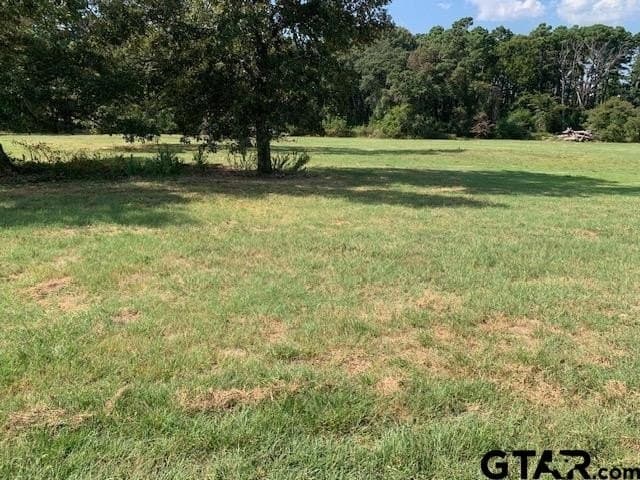 2.03 acres in Cherokee County gallery image 4