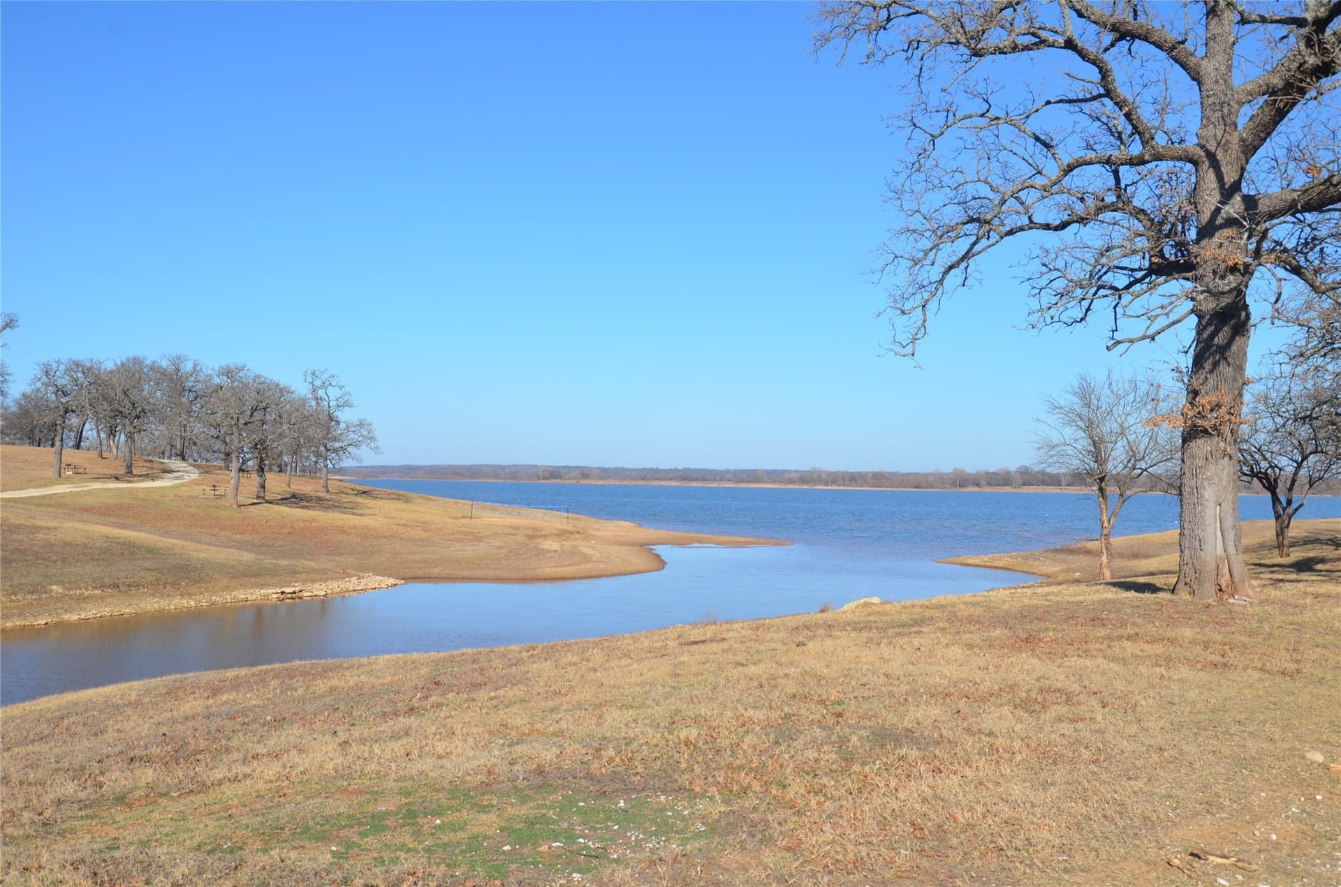 0.49 acres in Grayson County - photo 8