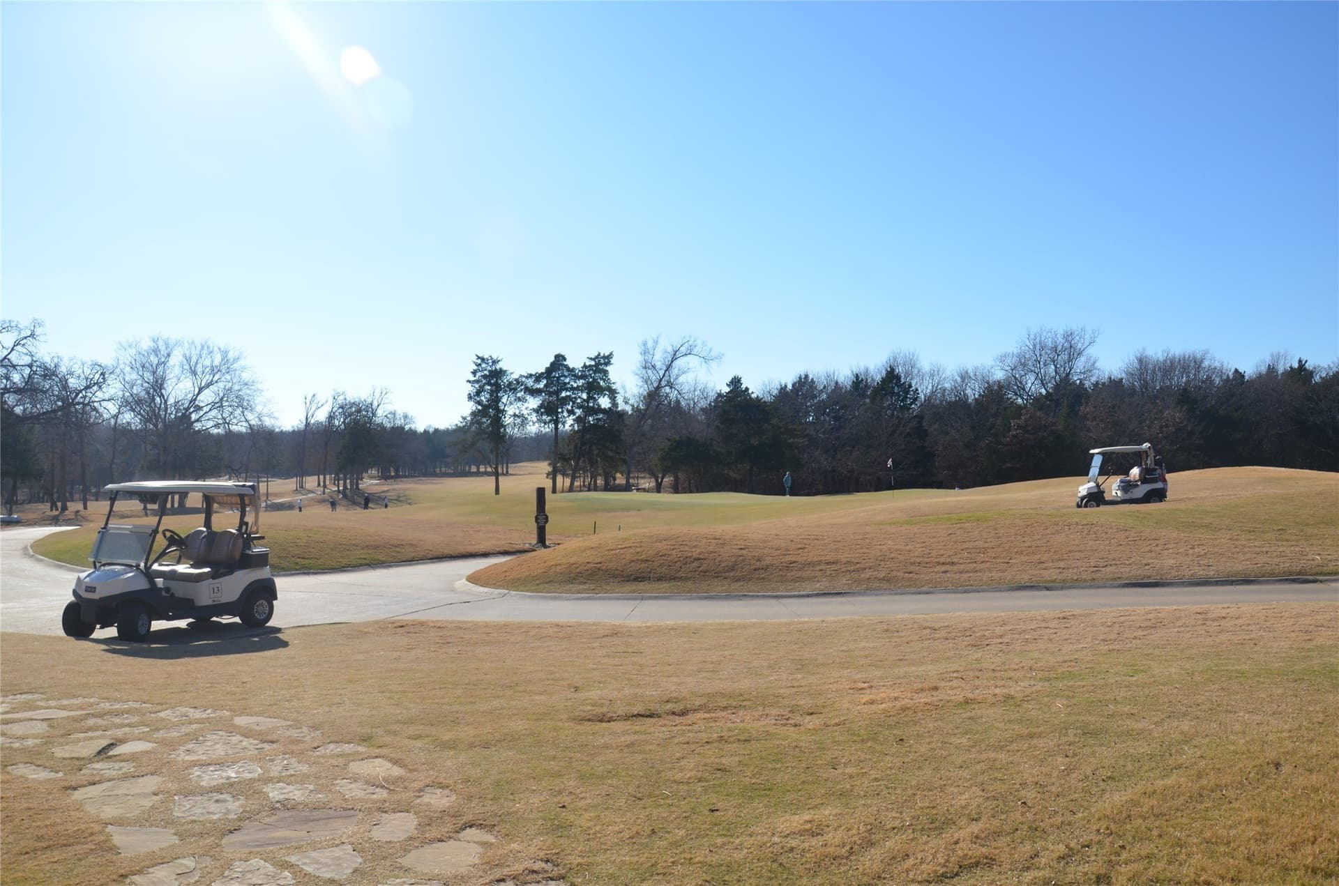 0.49 acres in Grayson County featured view