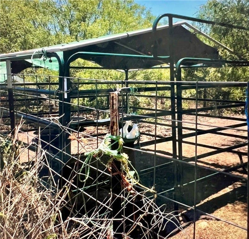 9 acres in Nueces County gallery image 4