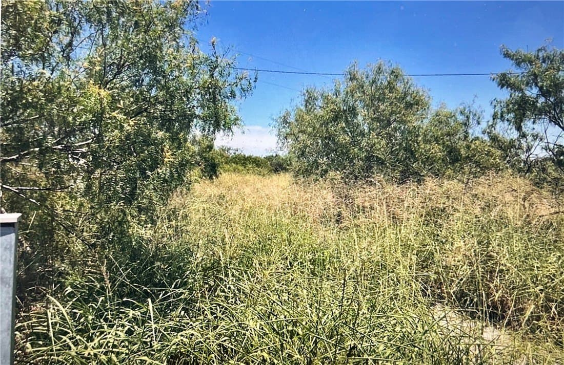 9 acres in Nueces County gallery image 2