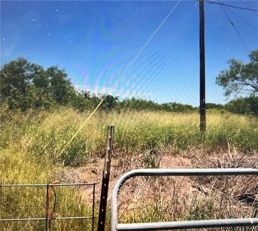 9 acres in Nueces County gallery image 3