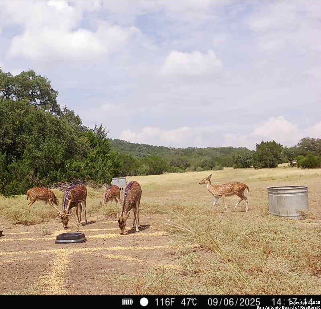 323 acres in Medina County - photo 9
