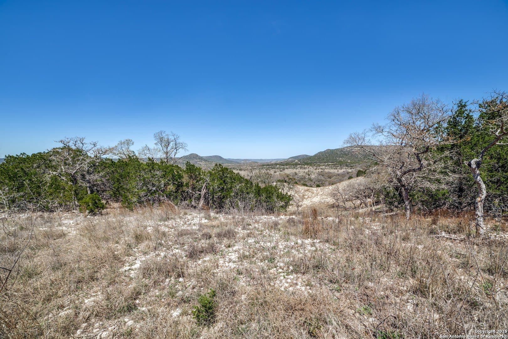 323 acres in Medina County - photo 11