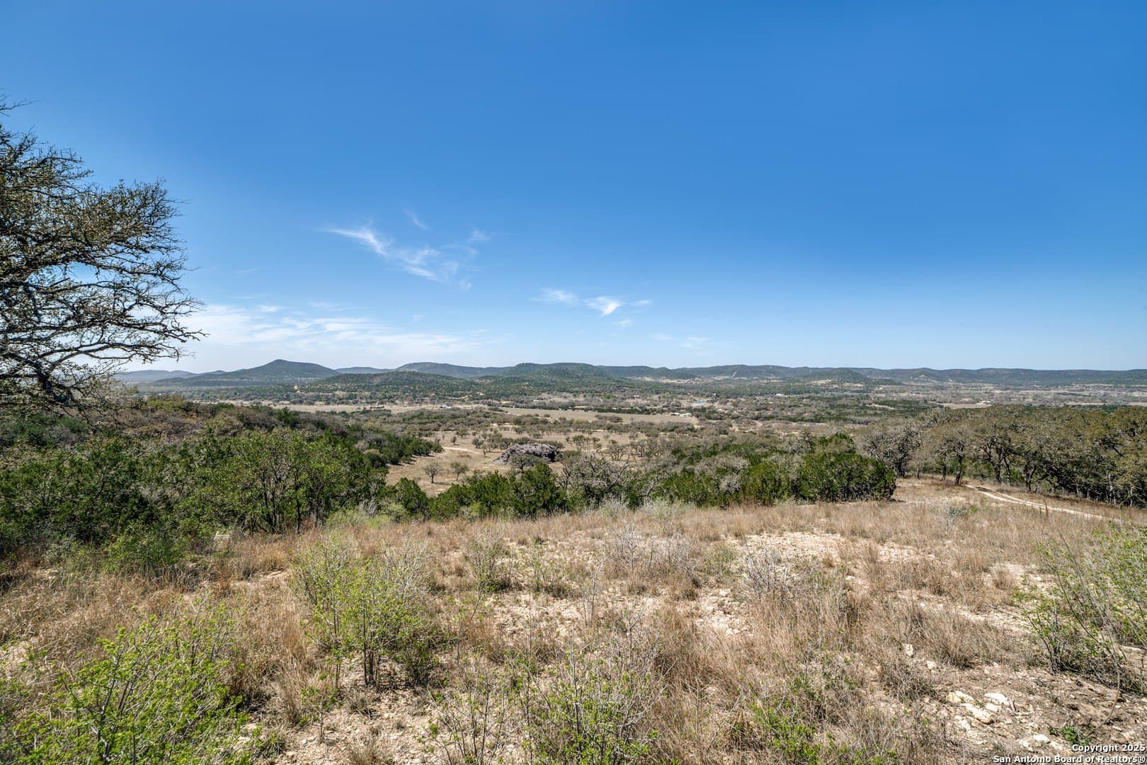 323 acres in Medina County - photo 8