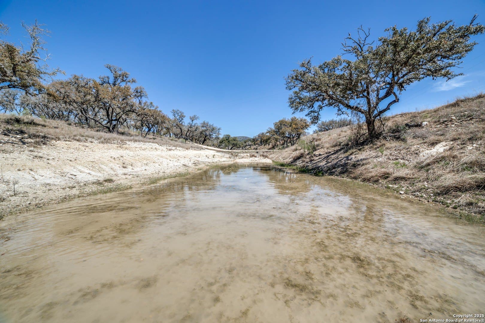 323 acres in Medina County - photo 12