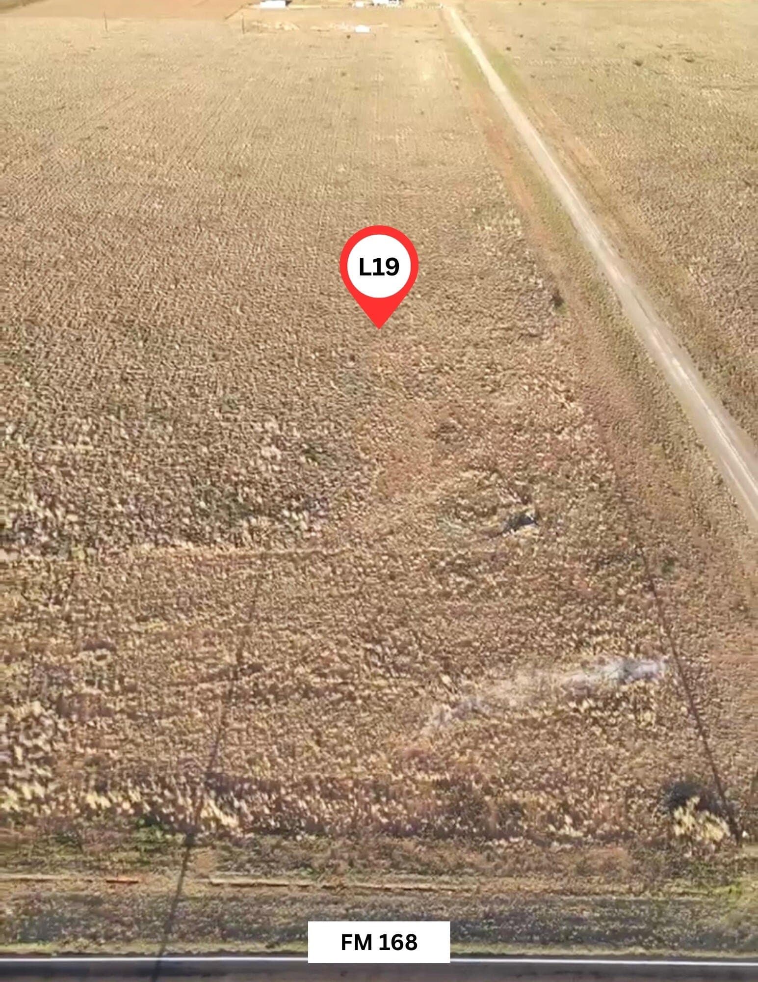 4.93 acres in Hockley County - photo 3