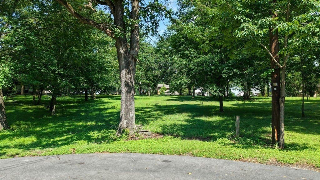 0.24 acres in Henderson County - photo 4