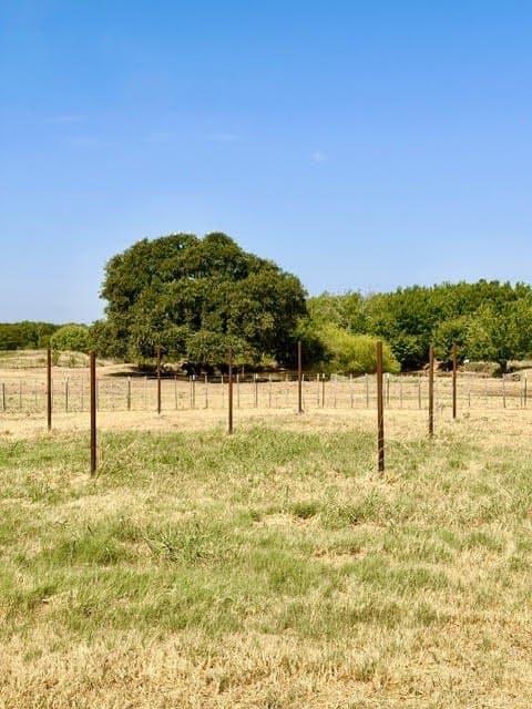 10.74 acres in Wise County - photo 15