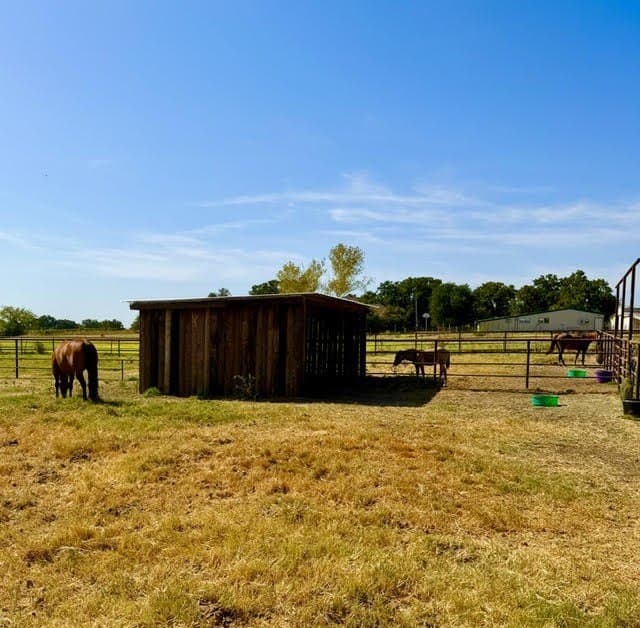 10.74 acres in Wise County - photo 13