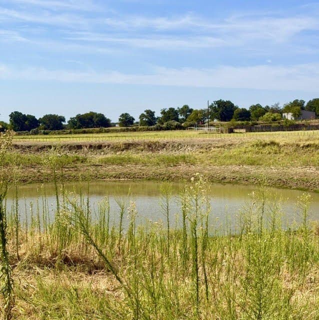 10.74 acres in Wise County - photo 17