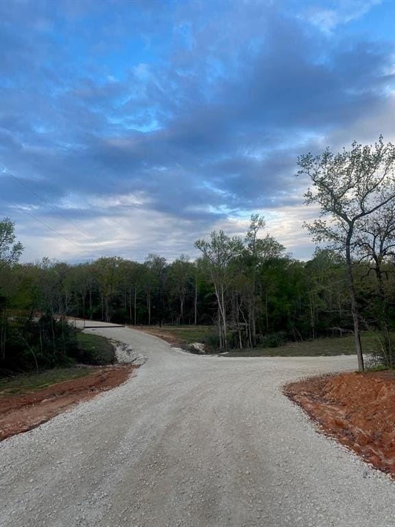 10.45 acres in Freestone County gallery image 3