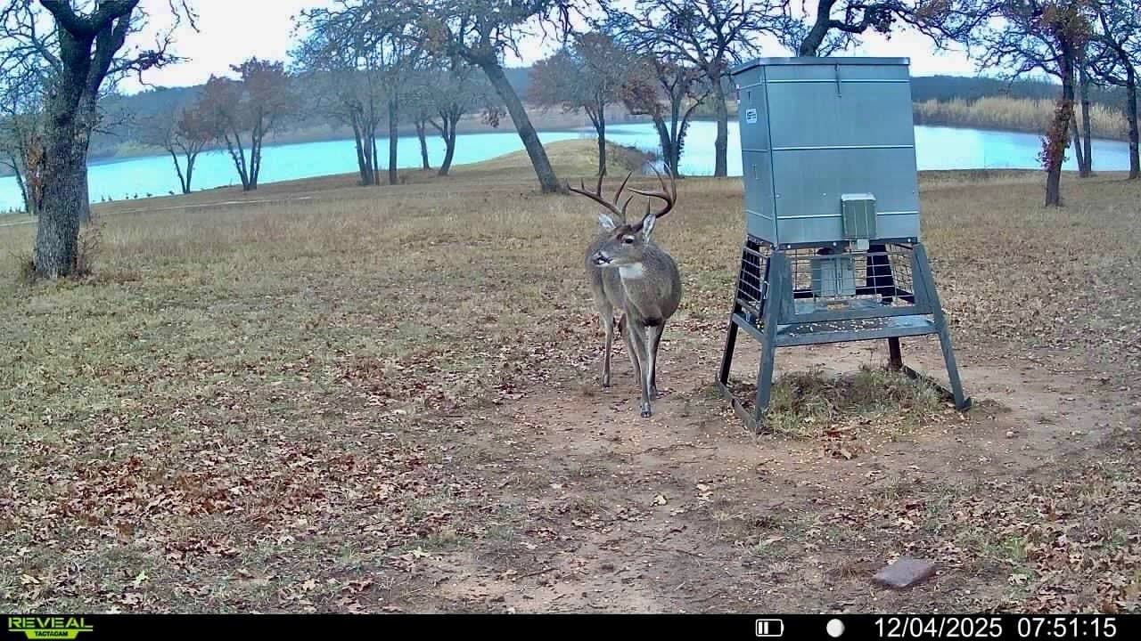 82.52 acres in Montague County - photo 39