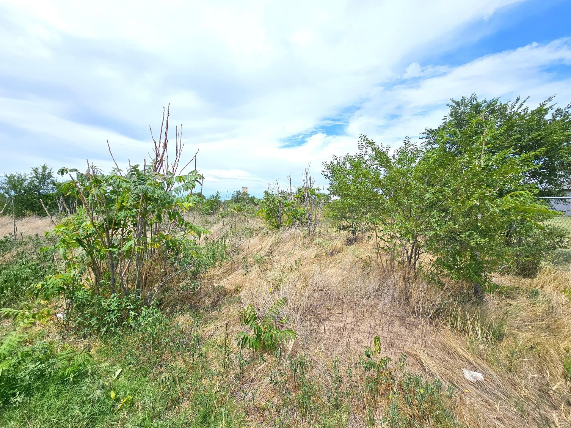 0 acres in Texas County