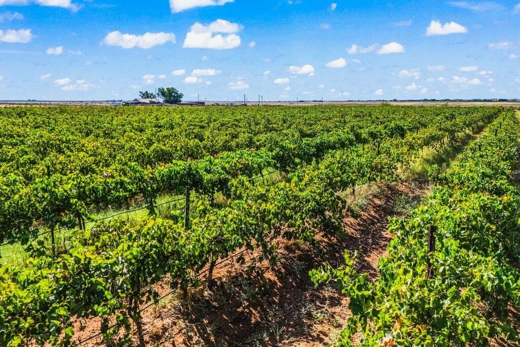 13.37 acres in Gaines County - photo 3