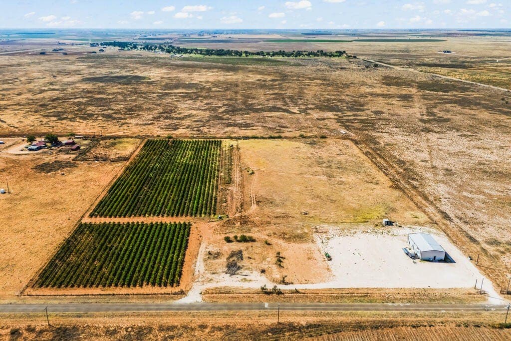 13.37 acres in Gaines County - photo 7