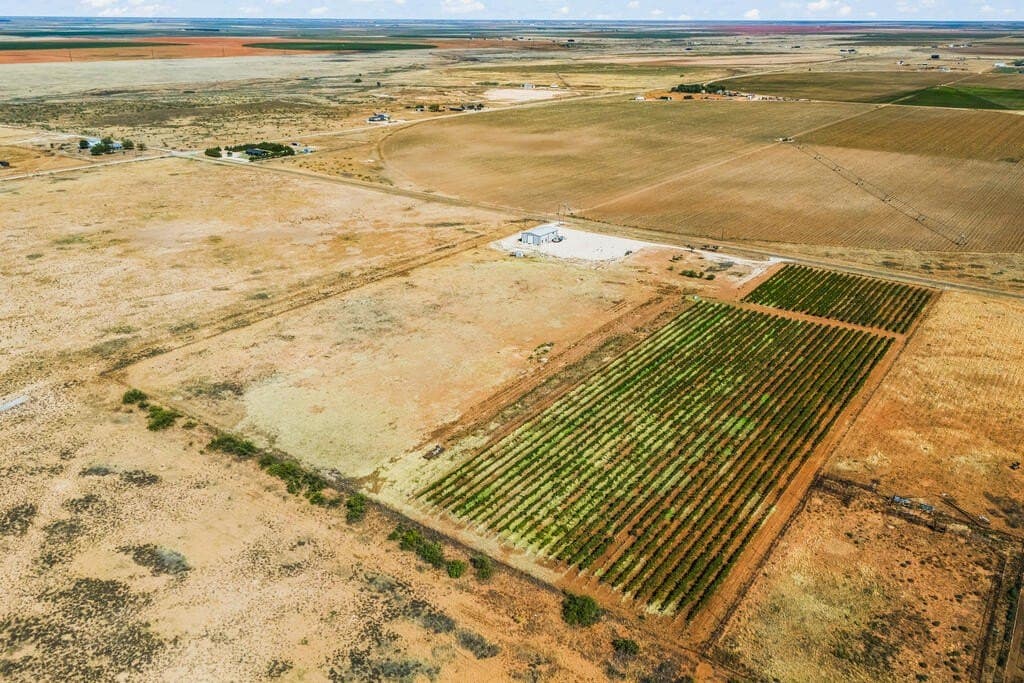 13.37 acres in Gaines County - photo 9