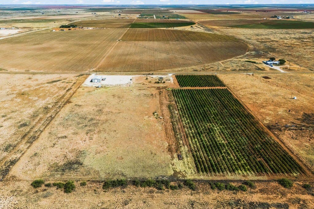 13.37 acres in Gaines County - photo 10