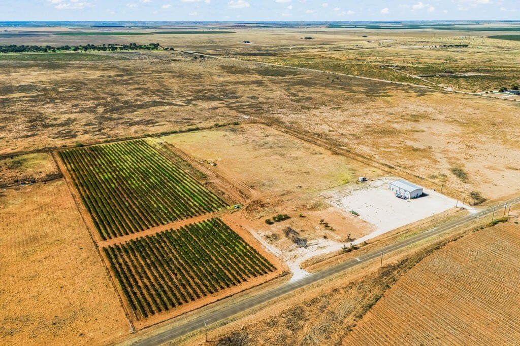 13.37 acres in Gaines County - photo 8