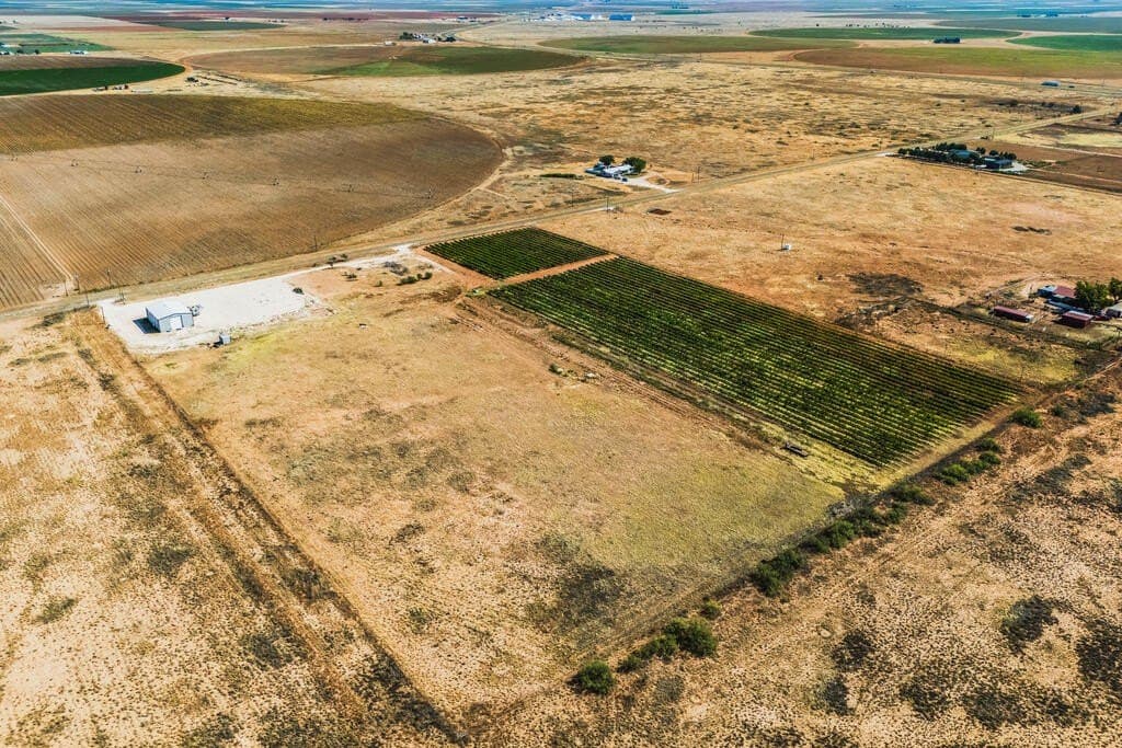 13.37 acres in Gaines County - photo 5