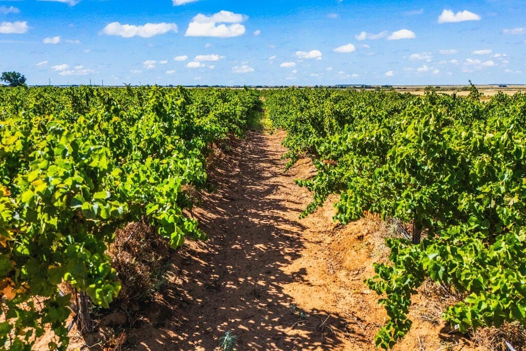 13.37 acres in Gaines County - photo 4