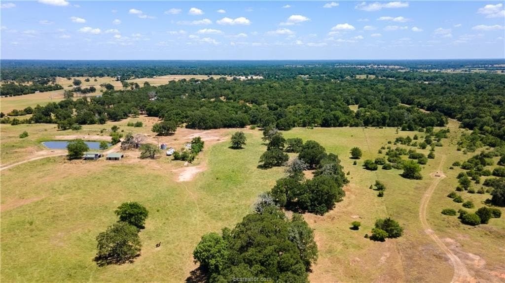 41.11 acres in Brazos County - photo 9