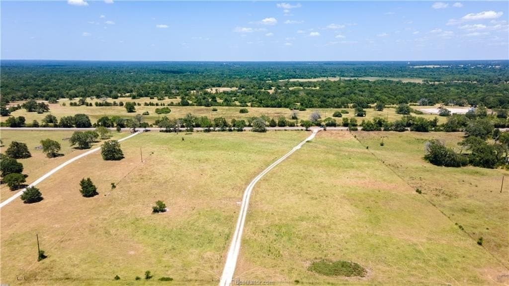 41.11 acres in Brazos County - photo 11