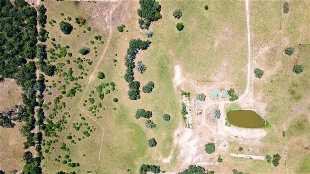 41.11 acres in Brazos County gallery image 3