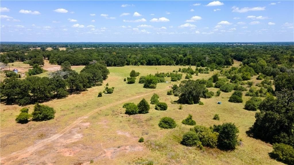 41.11 acres in Brazos County - photo 8