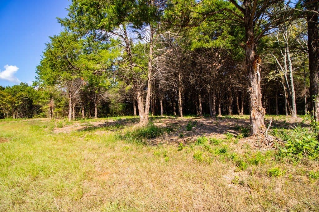 2.13 acres in Smith County - photo 3