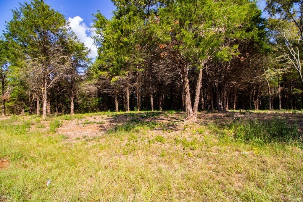 2.13 acres in Smith County - photo 2