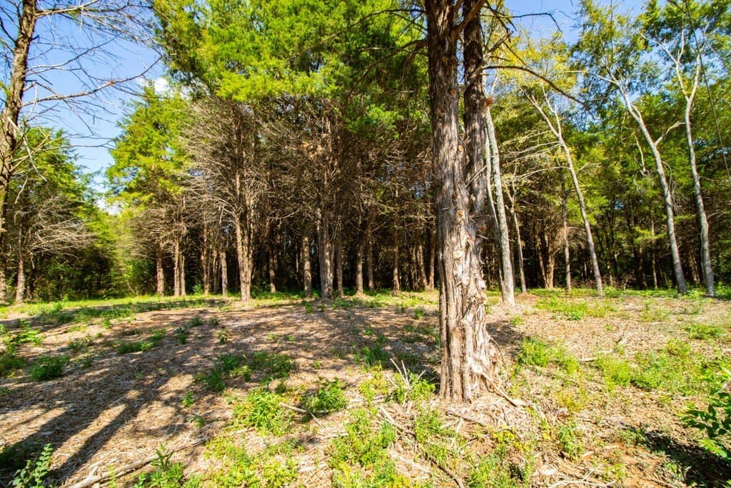 2.13 acres in Smith County - photo 4