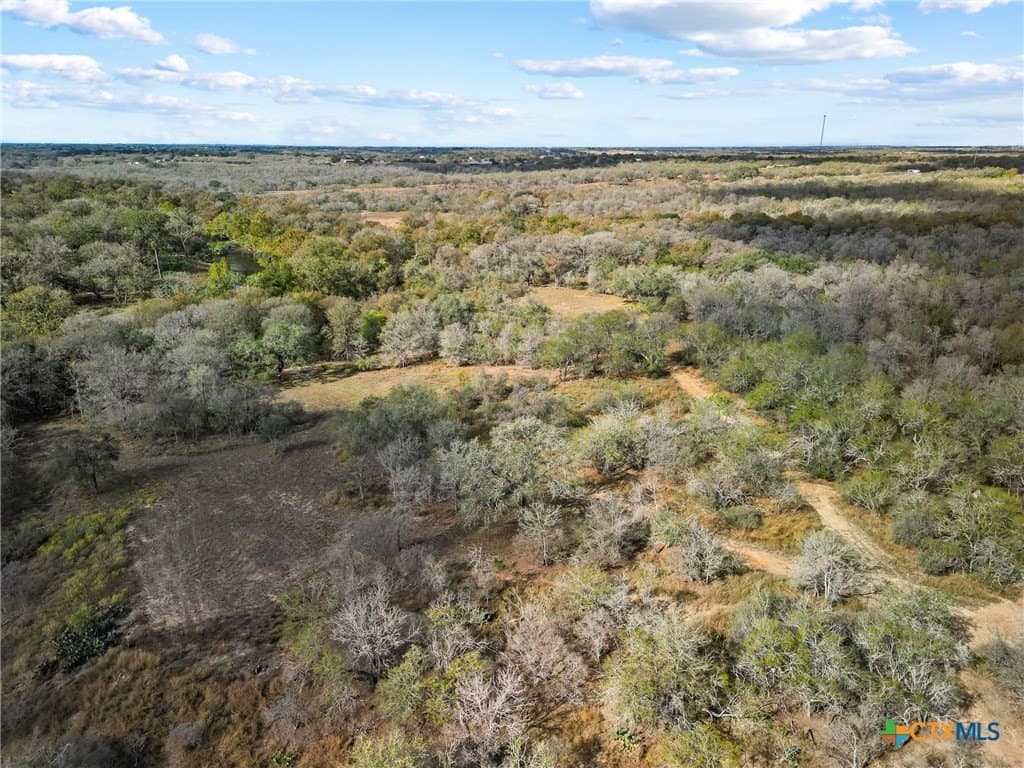 71 acres in Guadalupe County - photo 19