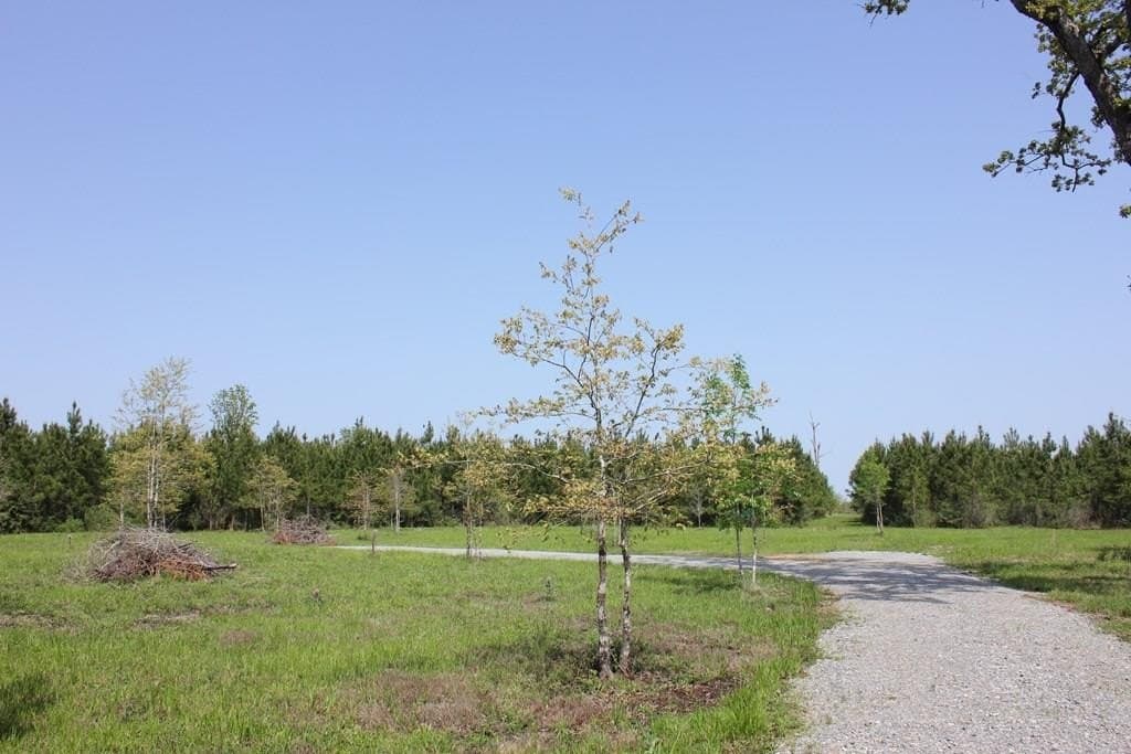 10 acres in Texas County