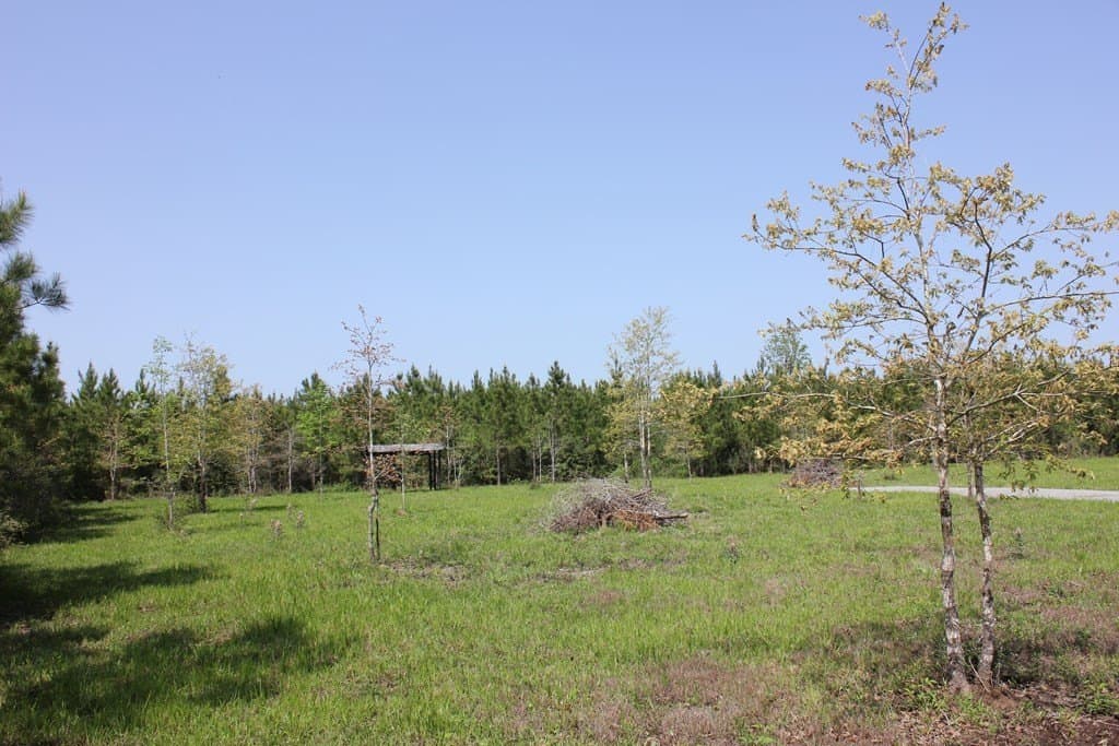 10 acres in Texas County gallery image 3