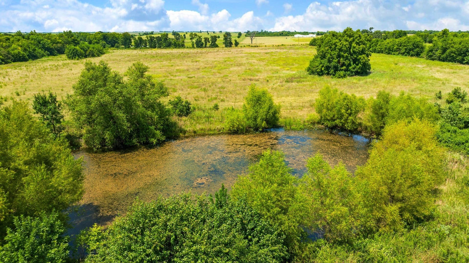 62 acres in Lamar County - photo 17