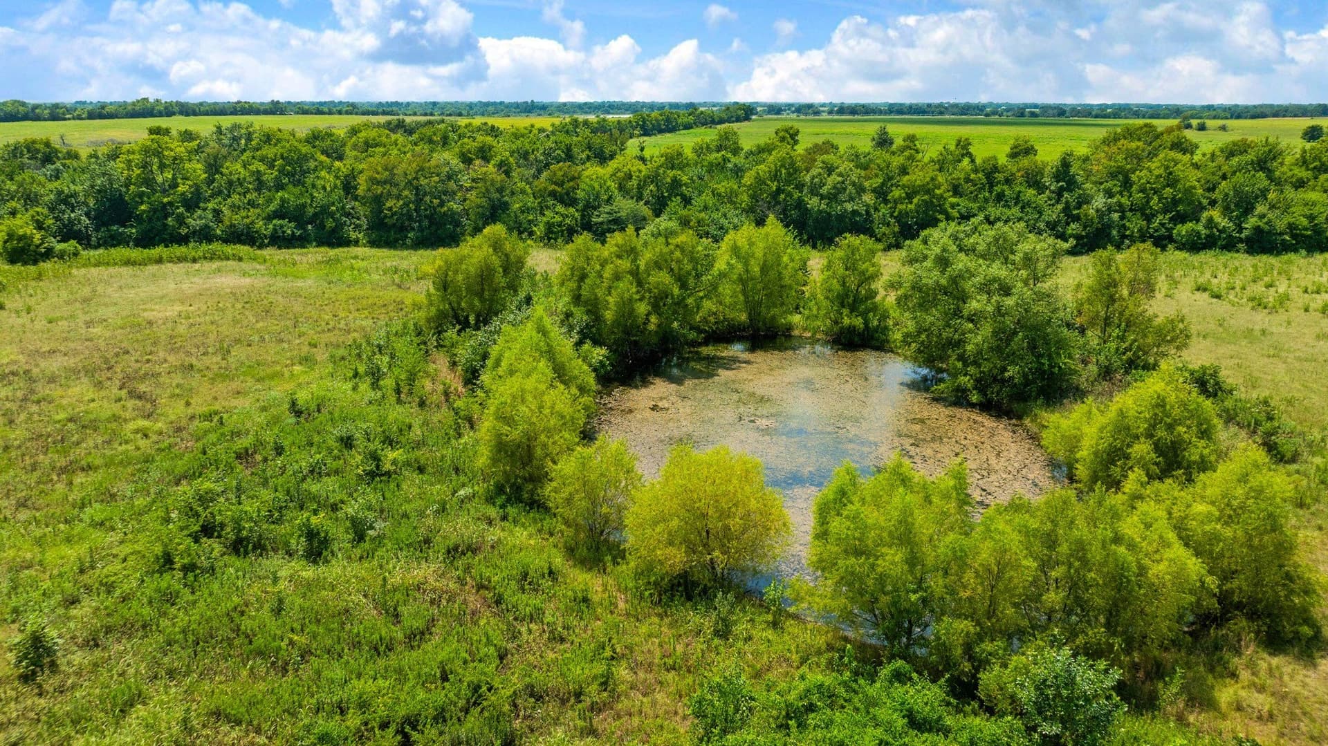 62 acres in Lamar County - photo 18