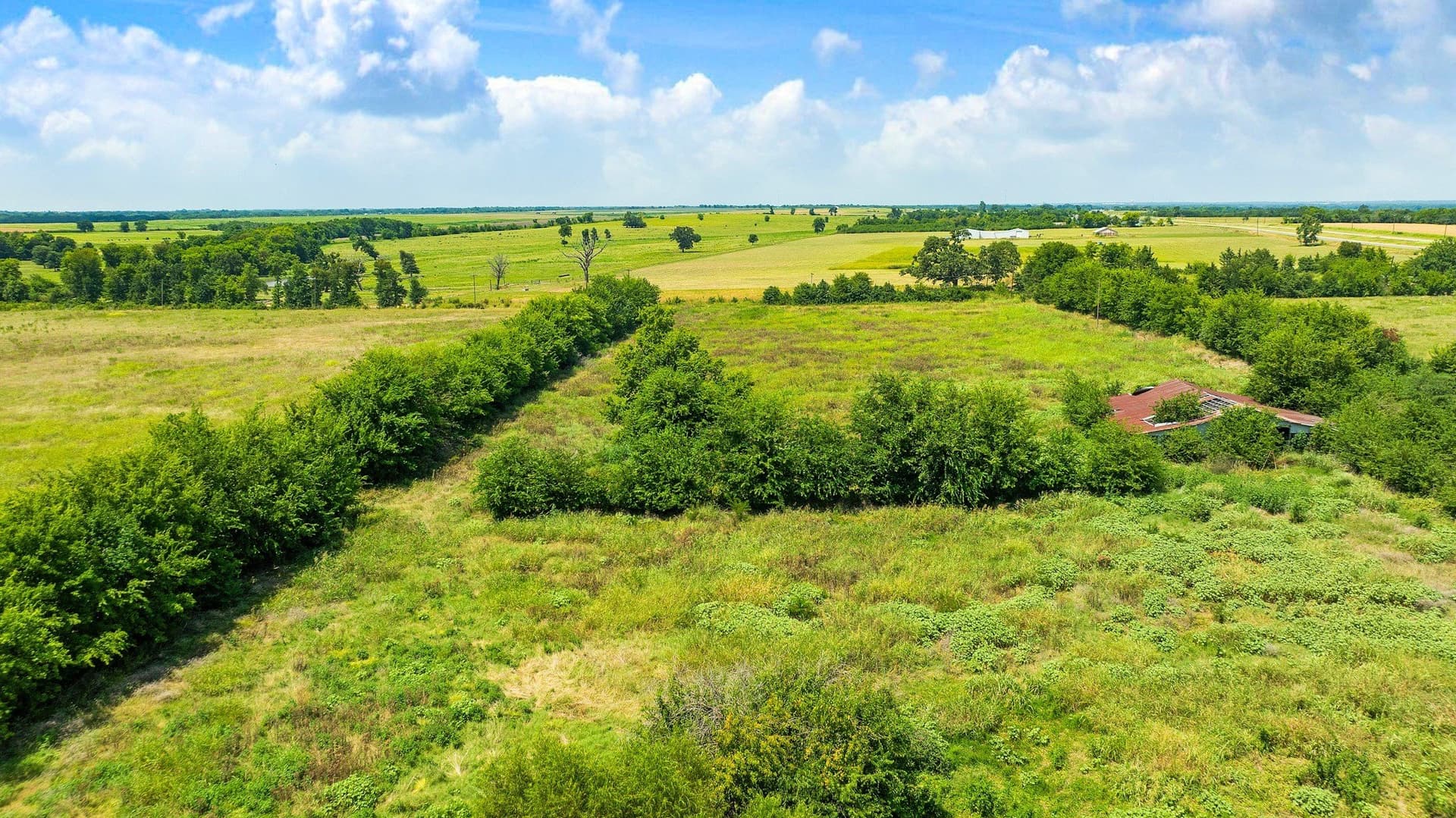 62 acres in Lamar County - photo 21