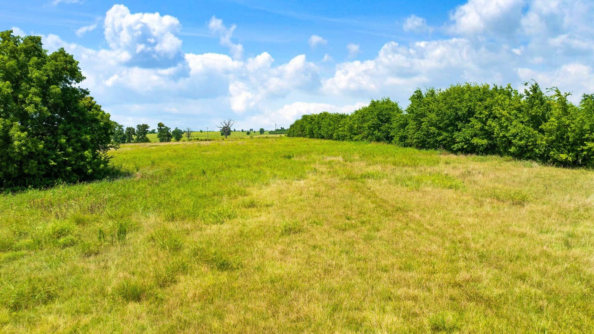 62 acres in Lamar County - photo 19