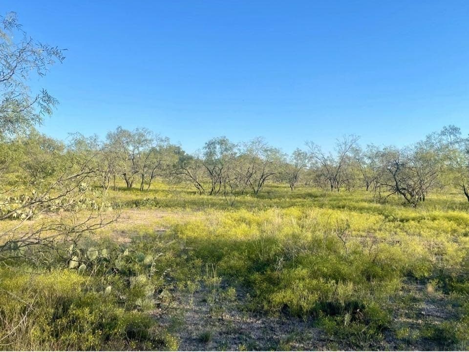 29.03 acres in Concho County