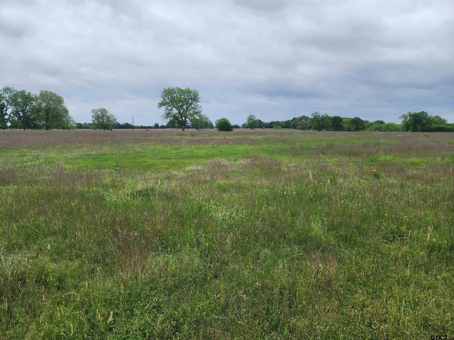 5 acres in Lamar County - photo 6