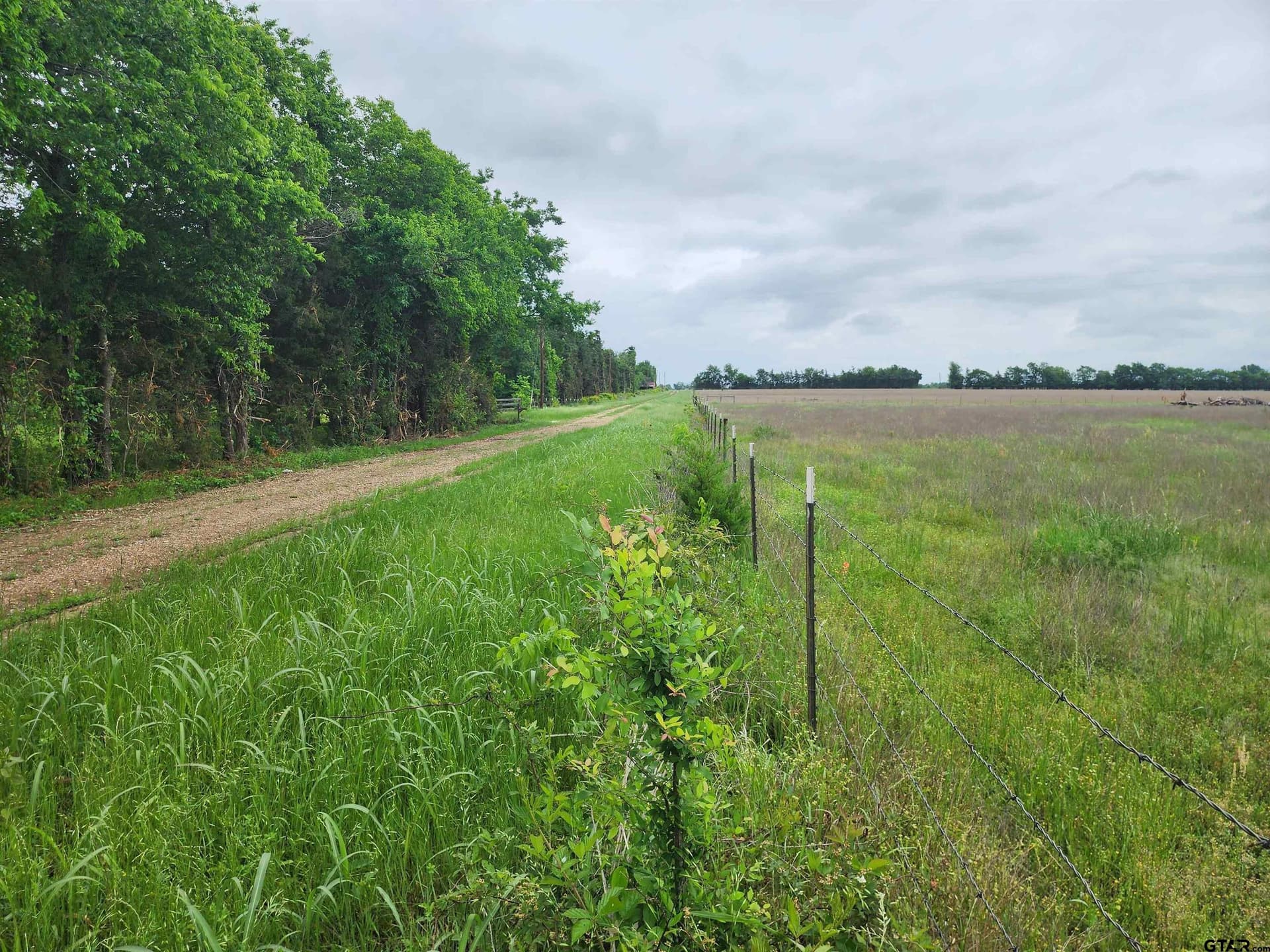 5 acres in Lamar County - photo 9