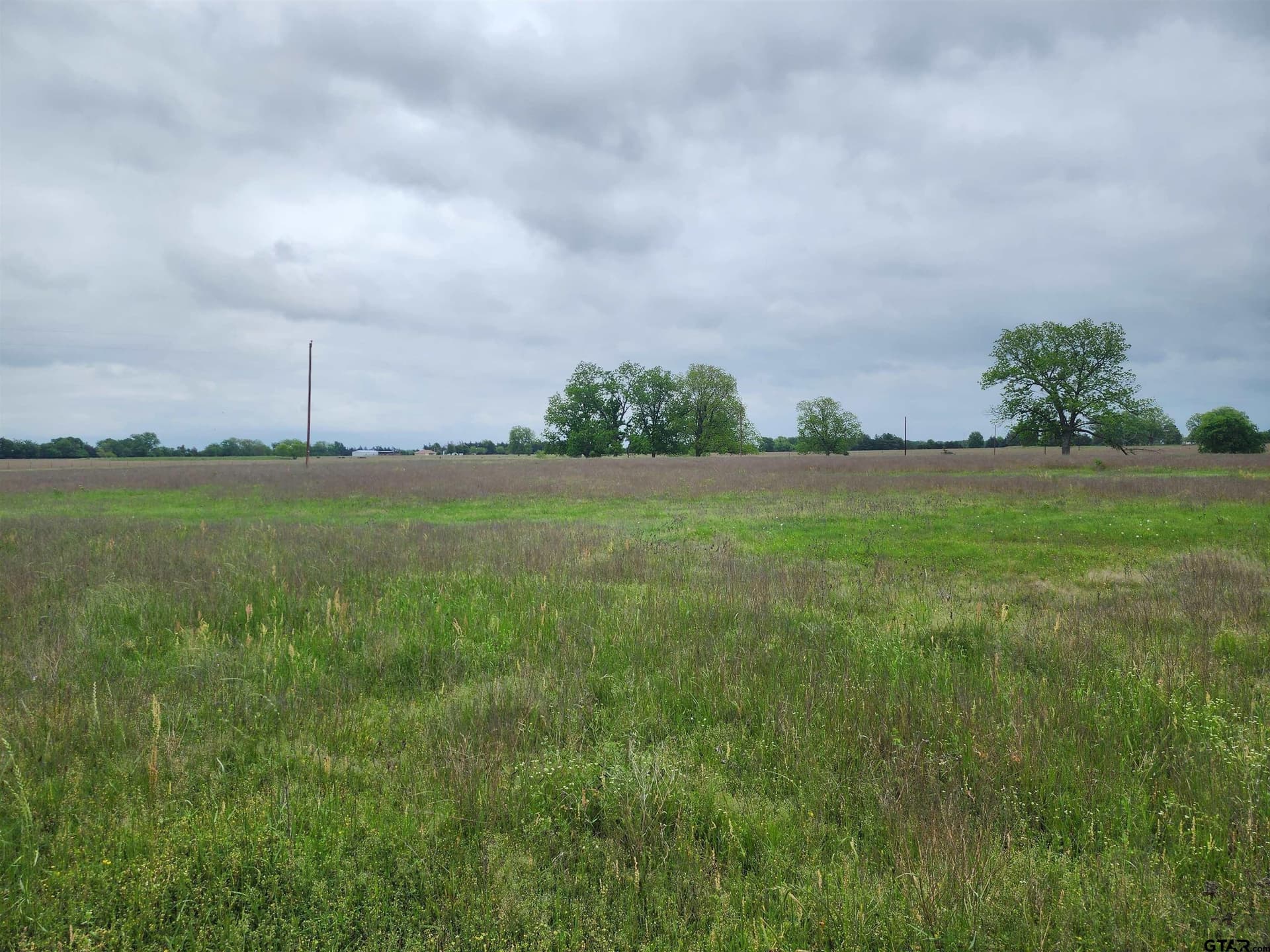 5 acres in Lamar County - photo 7