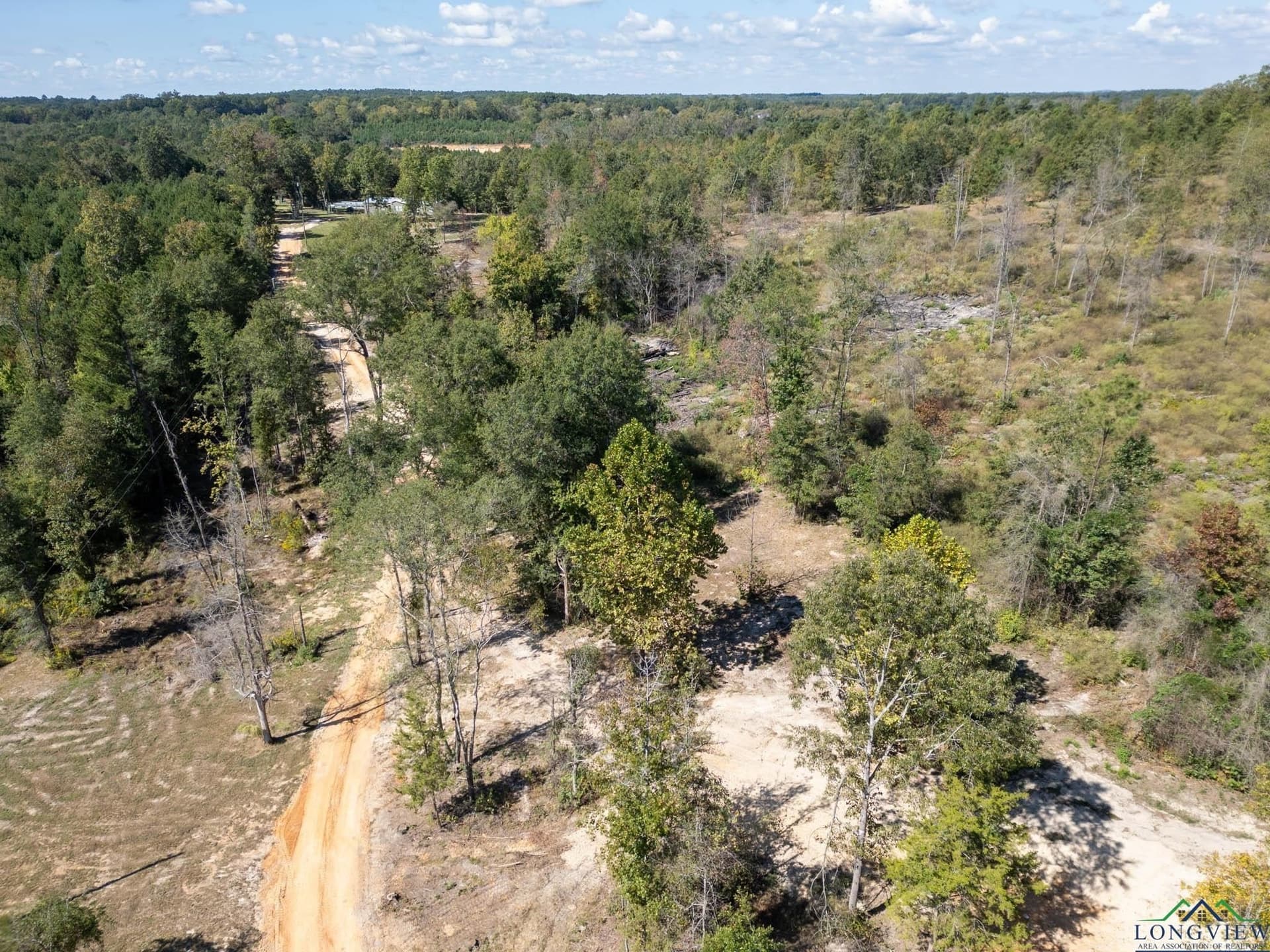 29.24 acres in Harrison County gallery image 3