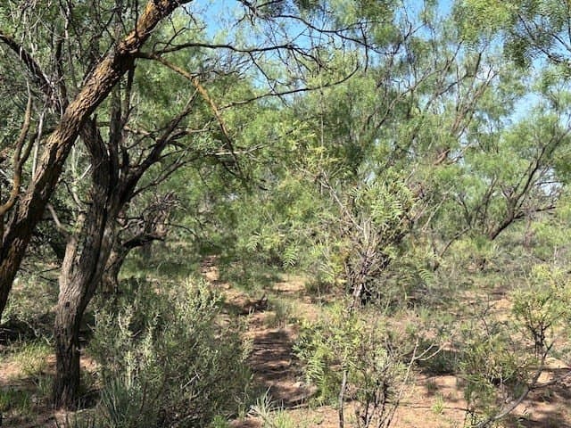 147.9 acres in Scurry County - photo 58
