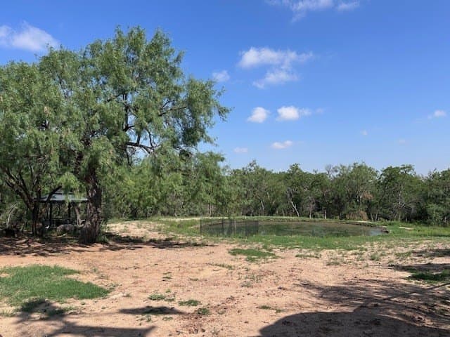 147.9 acres in Scurry County - photo 87