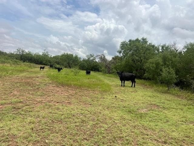 147.9 acres in Scurry County - photo 19