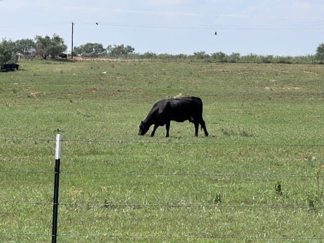 147.9 acres in Scurry County - photo 81