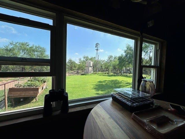 147.9 acres in Scurry County - photo 47