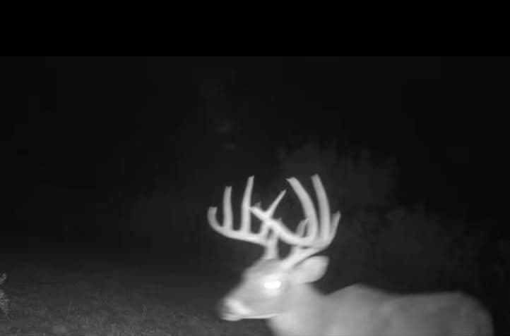 147.9 acres in Scurry County - photo 16